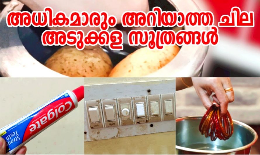 പല്ലുതേക്കുന്നതിന് മാത്രമല്ല പേസ്റ്റ്,ഞെട്ടിക്കും ഉപയോഗങ്ങൾ…