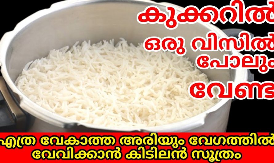 ഗ്യാസും സമയമെല്ലാം ലാഭിച്ച്  അരി വേഗത്തിൽ ചോറ് ആകാൻ കിടിലൻ വഴി..