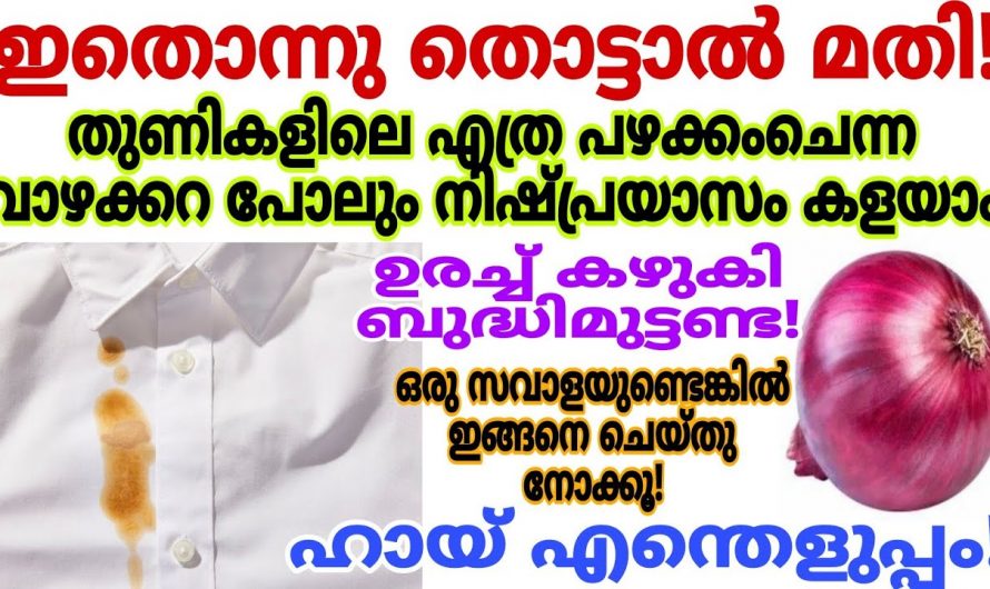 ഇത്തരം കാര്യങ്ങൾ ചെയ്താൽ നമുക്ക് ഒത്തിരി നല്ലൊരു റിസൾട്ട്..