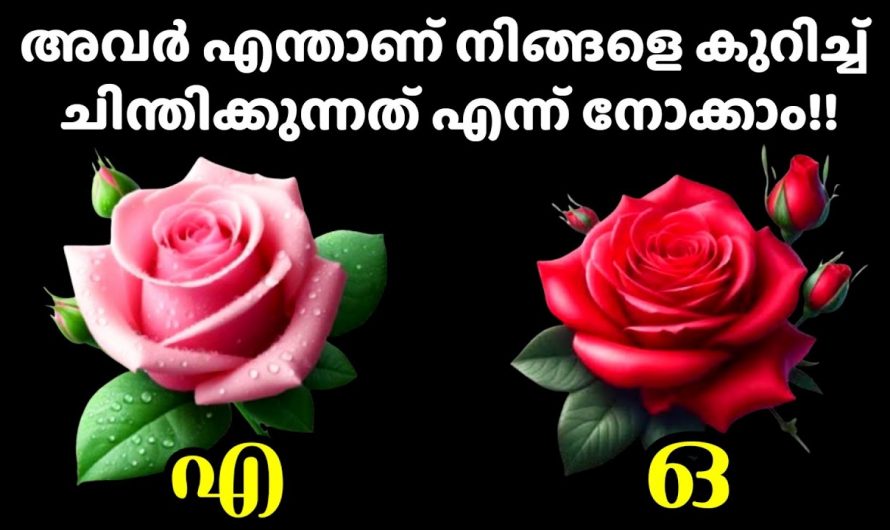 നിങ്ങൾ വളരെയധികം ഇഷ്ടപ്പെടുന്ന ഒരു വ്യക്തി നിങ്ങളെക്കുറിച്ച് എന്ത് മനസ്സിലാക്കുന്നു എന്ന് അറിയണമോ …