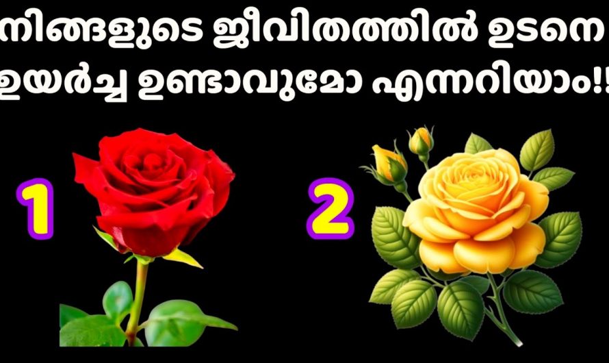 നിങ്ങളുടെ ജീവിതത്തിൽ നല്ല രീതിയിൽ ഉള്ള ഒരു വിജയം നേടിയെടുക്കാൻ സാധിക്കുമോ..