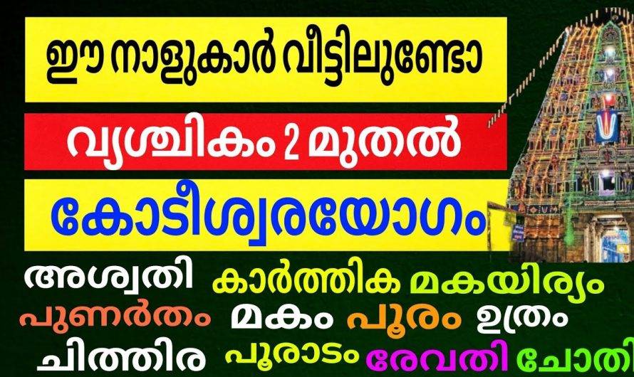 വൃശ്ചികം രണ്ടു മുതൽ ഈ നക്ഷത്രക്കാർ ഞെട്ടിക്കും ഉയരങ്ങളിൽ എത്തിച്ചേരും…