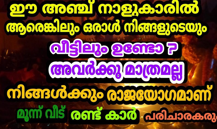 വരുന്ന പുതുവർഷത്തിലെ അഞ്ച് നക്ഷത്രക്കാർ കുതിച്ചുയരും.