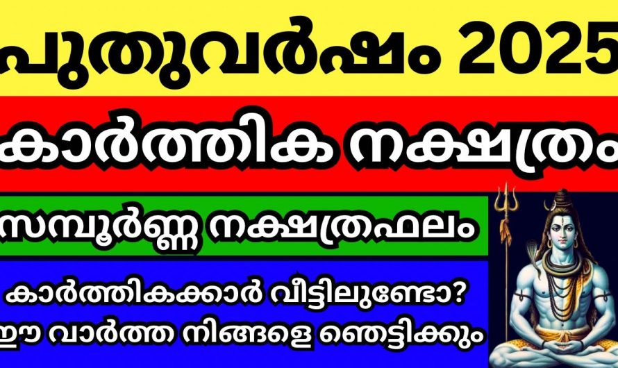 2025ൽ കാർത്തിക നക്ഷത്രക്കാരുടെ ജീവിതത്തിൽ സംഭവിക്കുന്നത്..