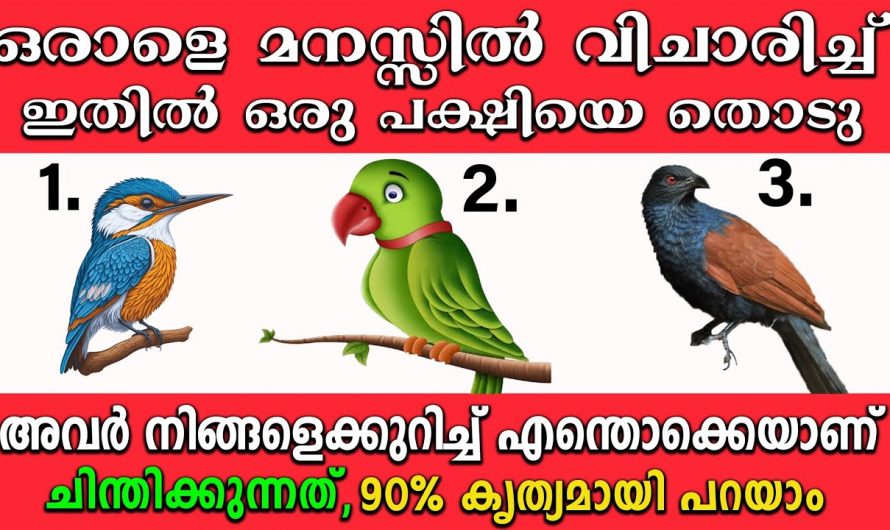 നിങ്ങൾ മനസ്സിൽ വിചാരിക്കുന്ന വ്യക്തി നിങ്ങളെക്കുറിച്ച് എന്തു ചിന്തിക്കുന്നുവോ എന്ന് മനസ്സിലാക്കണോ…