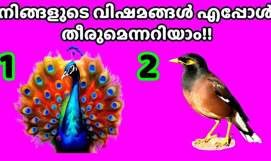 നിങ്ങളുടെ  ദുഃഖങ്ങൾ എപ്പോൾ അകലുമെന്ന്  അറിയണോ