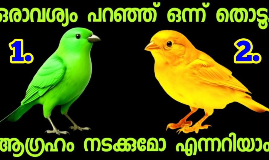 നിങ്ങൾ ആഗ്രഹിക്കുന്ന കാര്യവും നടക്കുമോ എന്ന്  മനസ്സിലാക്കാം.