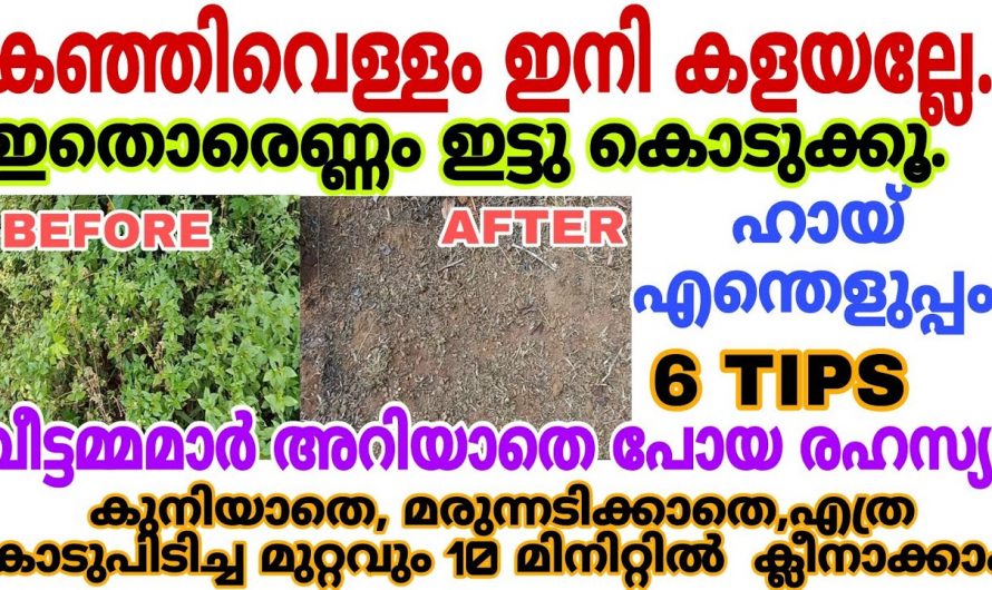 ഇനി നിങ്ങൾ ഒരിക്കലും കഞ്ഞി വെള്ളം കളയില്ല ഞെട്ടിക്കും ഉപയോഗങ്ങൾ…