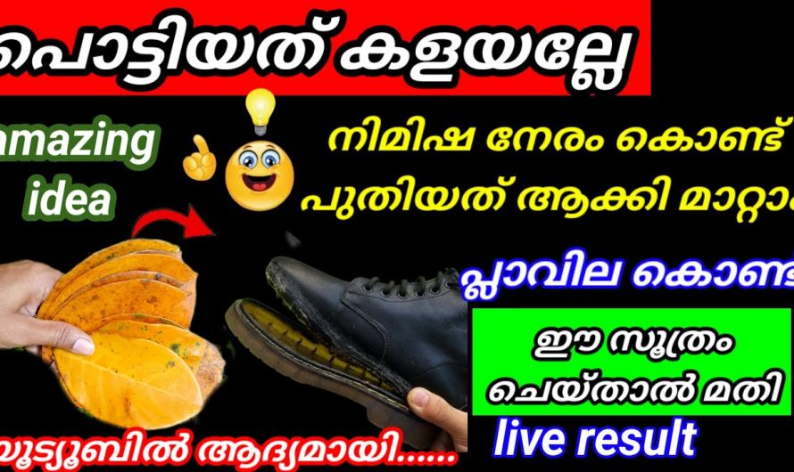 ഇത്തരം കാര്യങ്ങൾ നിത്യജീവിതത്തിൽ വളരെയധികം പ്രയോജനപ്പെടും…