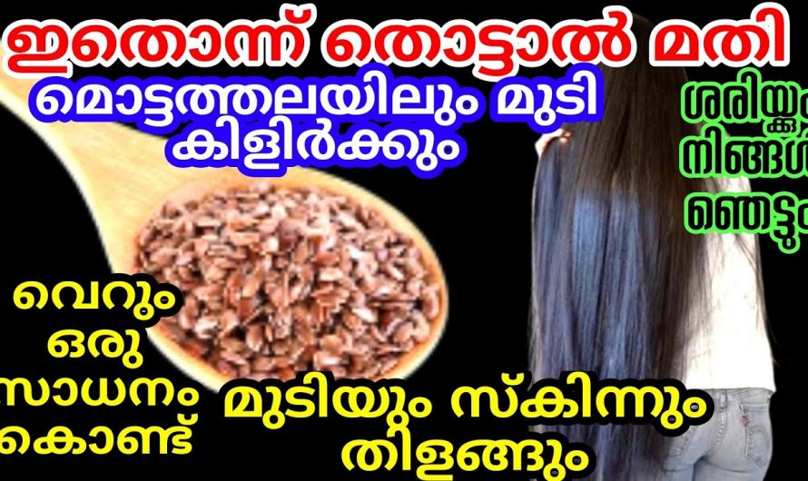 മുടിക്ക് ഉള്ള് കുറവാണോ  എങ്കിൽ ഇതൊന്നു ചെയ്തു നോക്കൂ ഞെട്ടിക്കും റിസൾട്ട്..