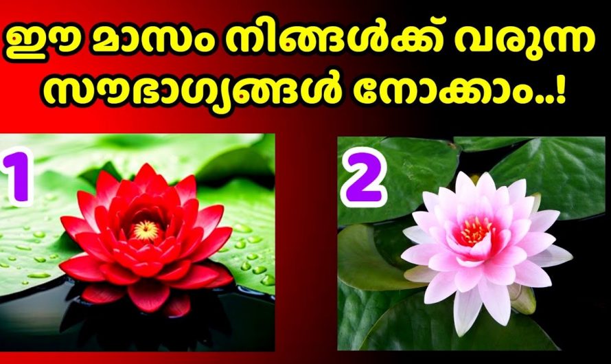 ഈയൊരു മാസം നിങ്ങൾക്ക് എങ്ങനെ ആയിരിക്കും എന്ന് ഇതിലൂടെ മനസ്സിലാക്കാം.