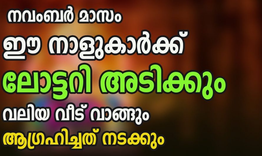 നവംബർ മാസത്തിൽ നക്ഷത്രക്കാർക്ക് വളരെയധികം ധനവരവ് ഉണ്ടാകും…