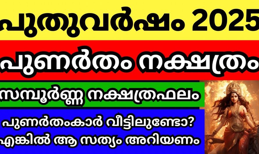 2025 ൽ പുണർതം  നക്ഷത്രക്കാരുടെ സമ്പൂർണ്ണ ഫലം..