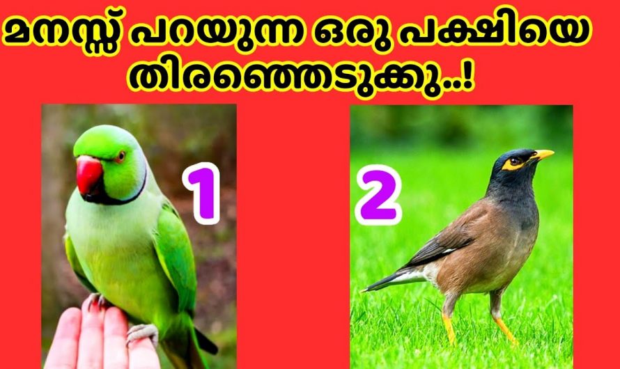 നിങ്ങളുടെ ജീവിതത്തിലേക്ക് ഈ ഭാഗ്യങ്ങൾ ഉടനെ എത്തും..