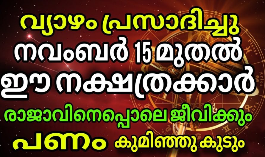 2024 നവംബർ 15 മുതൽ ഈ നക്ഷത്രക്കാർക്ക് ഇരട്ട രാജയോഗം..