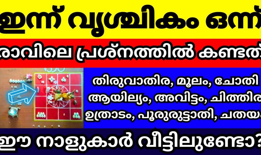 വൃശ്ചിക മാസത്തിൽ 9 നക്ഷത്രക്കാരുടെ ജീവിതത്തിൽ സംഭവിക്കുന്നത്….