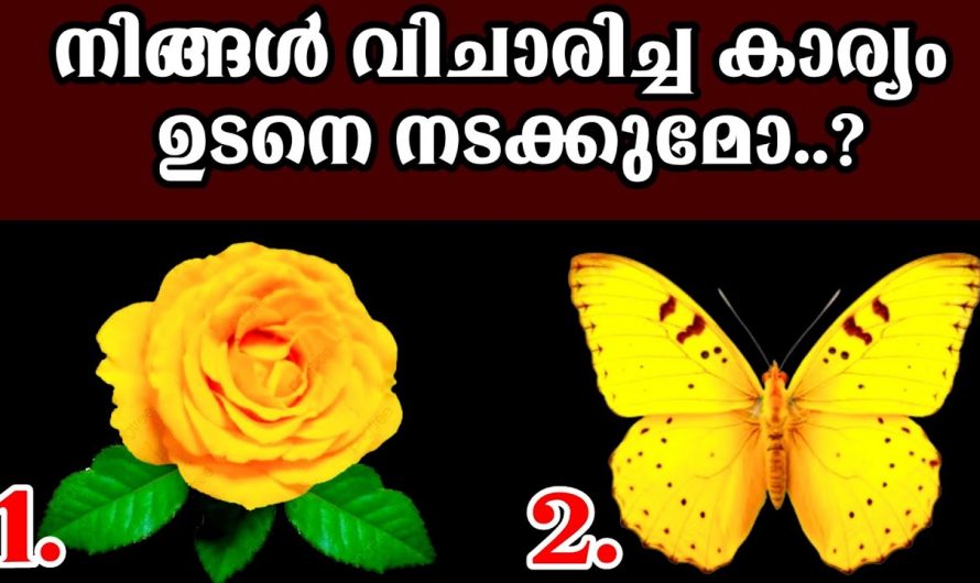 നിങ്ങളുടെ ആഗ്രഹങ്ങൾ സാധിക്കുമോ ഇല്ലയോ എന്നറിയണോ .