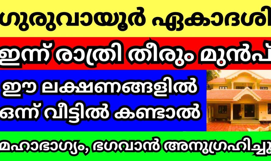 ഇത്തരം ലക്ഷണങ്ങൾ ഏകാദശി നാളിൽ കണ്ടാൽ ഗുരുവായൂരപ്പിന്റെ അനുഗ്രഹം ഉറപ്പാണ്..