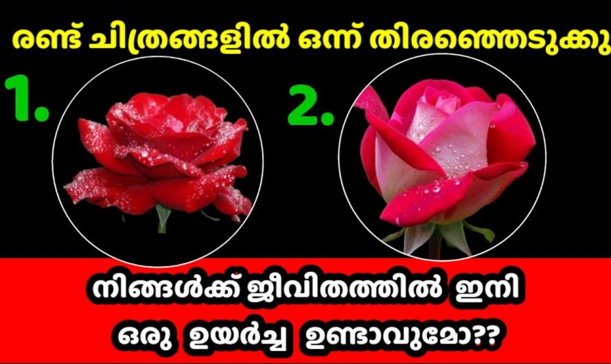 നിങ്ങളുടെ ജീവിതത്തിൽ വിജയം ഉണ്ടാകുമോ എന്ന് മനസ്സിലാക്കാം.