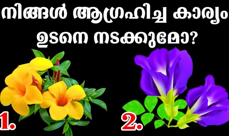 നിങ്ങളുടെ ജീവിതത്തിൽ നിങ്ങൾ ആഗ്രഹിക്കുന്ന കാര്യങ്ങൾ സാധിക്കുമോ.