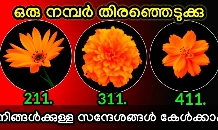 ഇതിൽ നിന്ന് നിങ്ങളുടെ ജീവിതത്തിൽ വരാൻ പോകുന്ന കാര്യങ്ങളെക്കുറിച്ച് മനസ്സിലാക്കാം.