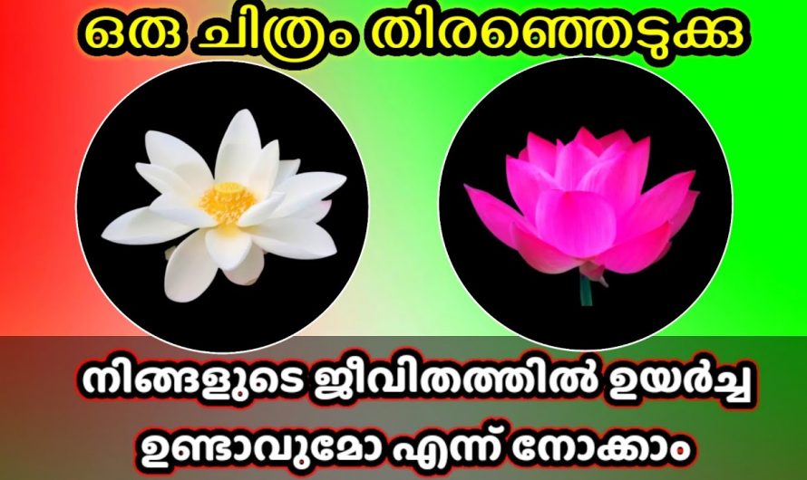 നിങ്ങളുടെ ജീവിതത്തിൽ ഉയർച്ച സാധ്യമാകുമോ എന്ന് മനസ്സിലാക്കാം.