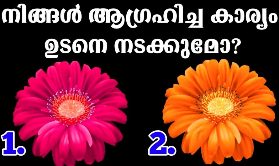 നിങ്ങളുടെ ജീവിതത്തിലെ ആഗ്രഹിച്ച കാര്യം സാധിക്കുമോ എന്ന് മനസ്സിലാക്കാം.