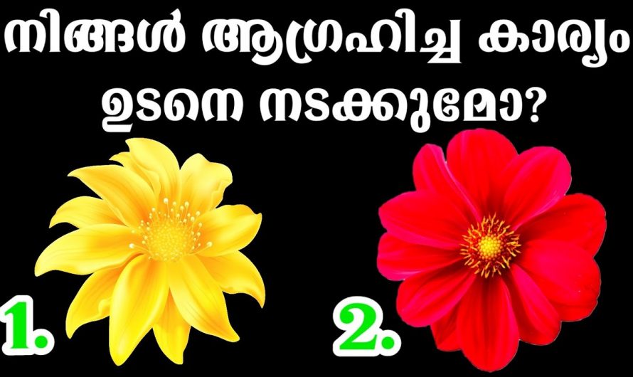 നിങ്ങൾ ആഗ്രഹിക്കുന്ന കാര്യങ്ങൾ ഉടനെ സാധിക്കുമോ എന്ന് മനസ്സിലാക്കാം.