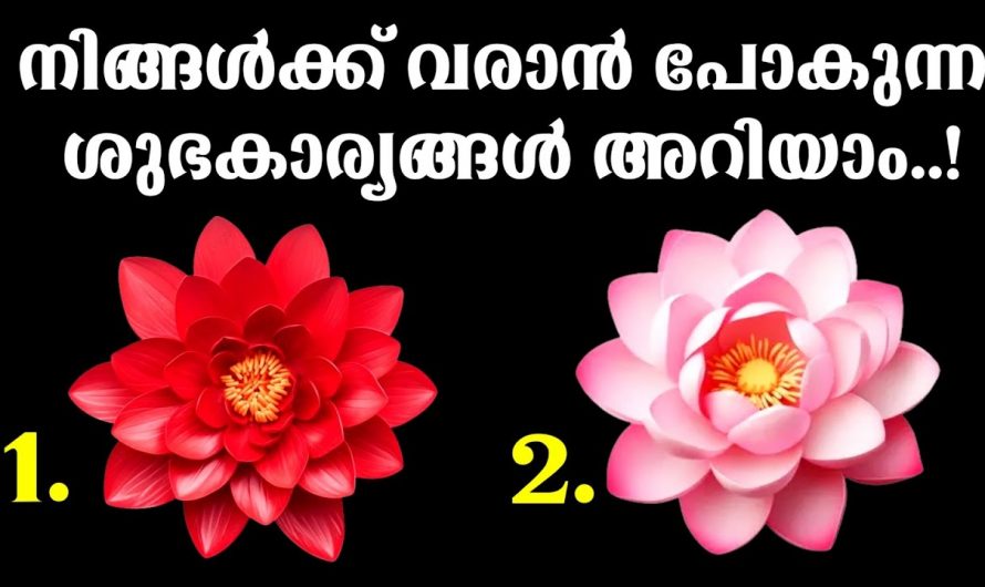 നിങ്ങൾക്ക് വരാൻ പോകുന്ന സൗഭാഗ്യങ്ങളെ കുറിച്ച് മനസ്സിലാക്കാം..