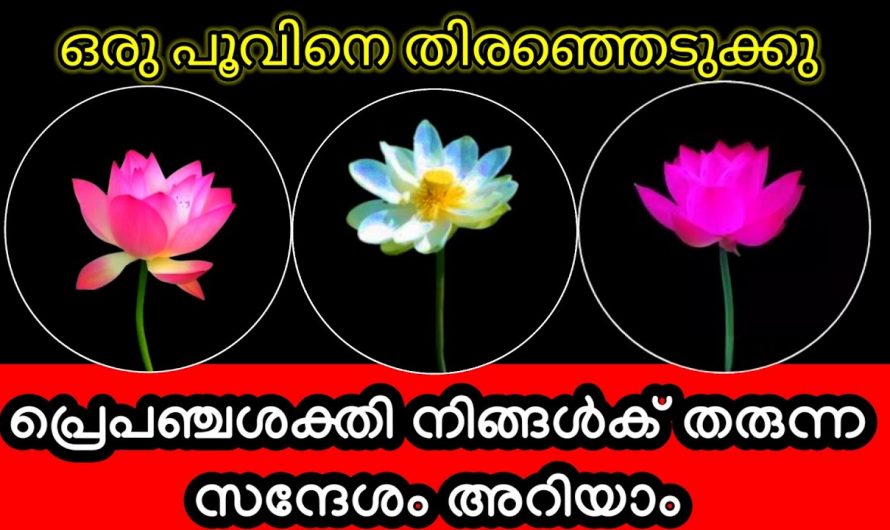 നിങ്ങൾക്ക് വേണ്ടി പ്രപഞ്ച ശക്തി നൽകുന്ന സന്ദേശത്തെ കുറിച്ച്  മനസ്സിലാക്കുക..