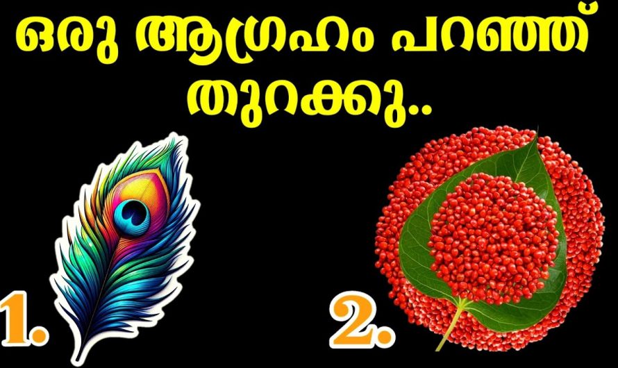 നിങ്ങൾ ആഗ്രഹിക്കുന്ന കാര്യം ഈശ്വരൻ സാധിച്ചു തരുമോ ഇല്ലയോ എന്നറിയാൻ ..