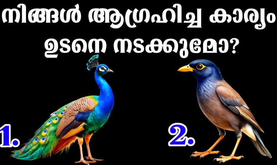 നിങ്ങളുടെ ജീവിതത്തിലേക്ക് വരാൻ പോകുന്ന ചില ശുഭകരമായ കാര്യങ്ങൾ..