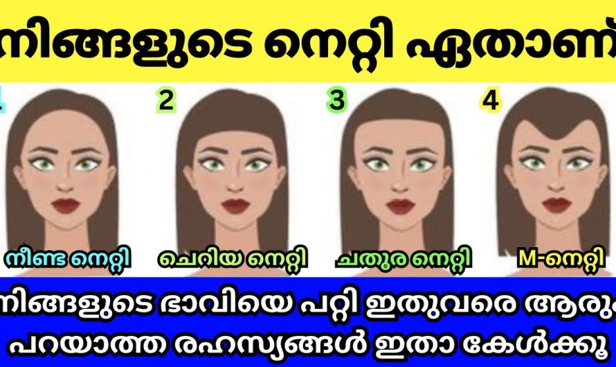 നിങ്ങളുടെ നെറ്റി നോക്കി ജീവിത രഹസ്യത്തെ കുറിച്ച് മനസ്സിലാക്കാം.