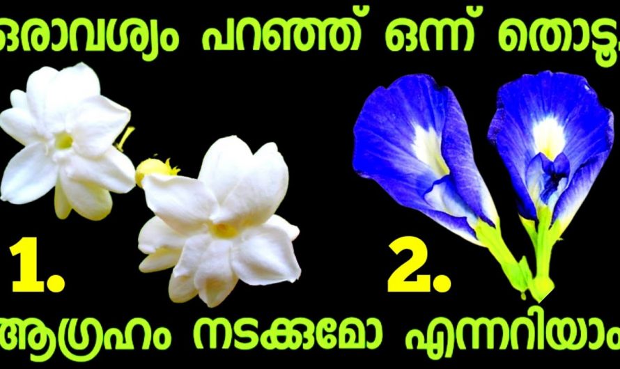 നിങ്ങളുടെ ആഗ്രഹങ്ങൾ സാധ്യമാകുമോ ഇല്ലയോ എന്നറിയാൻ.