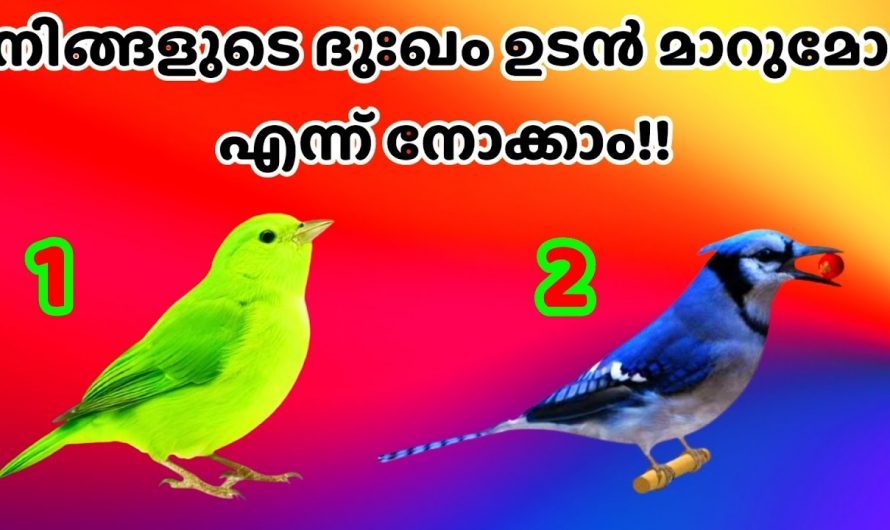 നിങ്ങളുടെ മനസ്സിന് അലട്ടുന്ന ദുഃഖം എപ്പോൾ മാറുമെന്ന് അറിയണോ ..