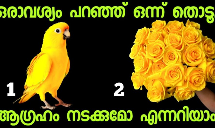 നിങ്ങളെ കാത്തിരിക്കുന്ന സൗഭാഗ്യങ്ങൾ എപ്പോൾ നിങ്ങളിലേക്ക് വന്നുചേരും അറിയാം…