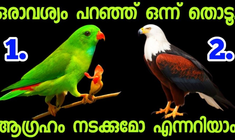 നിങ്ങളുടെ ആഗ്രഹങ്ങൾ എപ്പോൾ സാധ്യമാകും എന്നതിനെ കുറിച്ച് അറിയണോ..