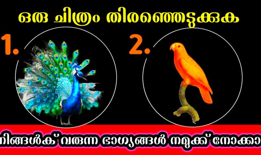 നിങ്ങൾക്ക് വരാൻ പോകുന്ന സൗഭാഗ്യങ്ങളും കുറിച്ച് അറിയണമോ.