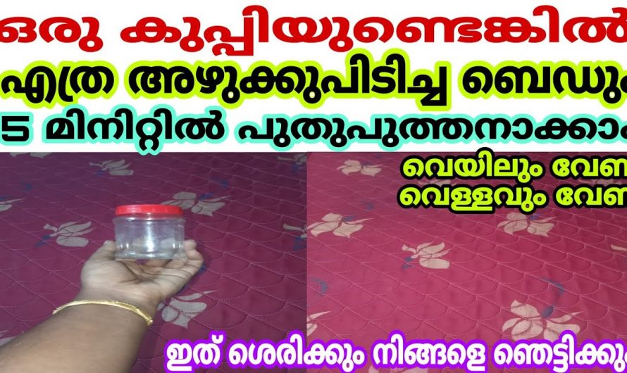 ഇത്തരം ടിപ്സുകൾ വീട്ടമ്മമാർക്ക് വളരെയധികം ഗുണം ചെയ്യും..