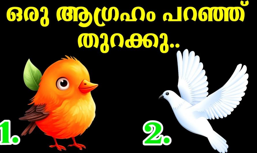 നിങ്ങൾ മനസ്സിൽ വിചാരിക്കുന്ന ആഗ്രഹങ്ങൾ നടന്ന് കിട്ടുമോ എന്നറിയാൻ..