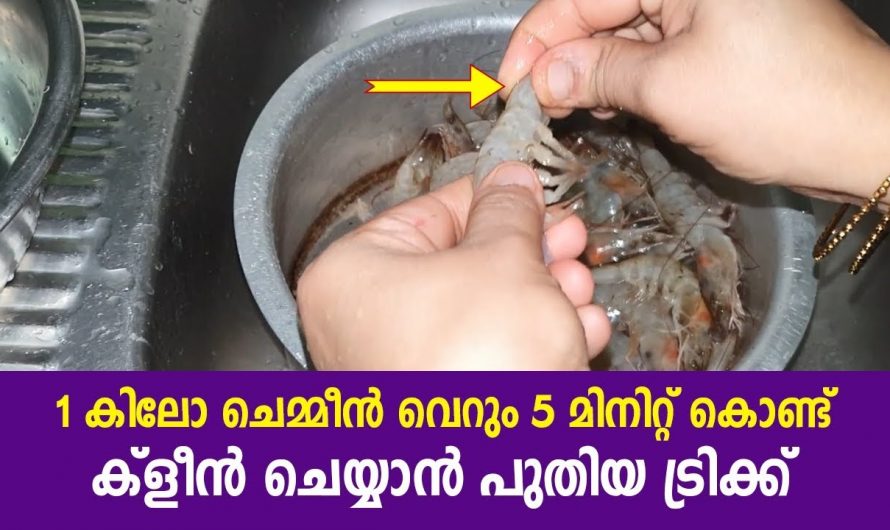 എത്ര കിലോ  ചെമ്മീൻ ഉണ്ടെങ്കിലും നിമിഷങ്ങൾക്കുള്ളിൽ ക്ലീൻ ചെയ്യാൻ കിടിലൻ വഴി..