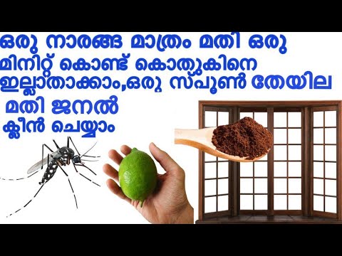 വളരെ എളുപ്പത്തിൽ കൊതുക് ശല്യം പൂർണമായും പരിഹരിക്കാം..