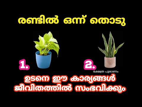 നിങ്ങളുടെ ജീവിതത്തിൽ സൗഭാഗ്യങ്ങളും വരുമോ ഇല്ലയോ എന്നറിയാൻ..