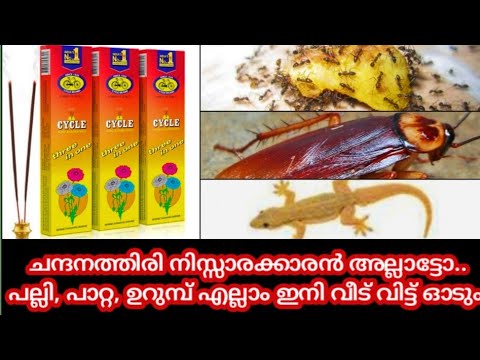 ചന്ദനത്തിരി ഉണ്ടെങ്കിൽ പല്ലി,പാറ്റ, ഉറുമ്പ് എന്നിവ ശല്യം എളുപ്പത്തിൽ പരിഹരിക്കാം .