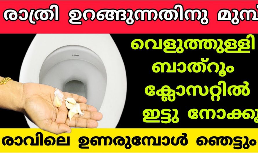 നമ്മുടെ ബാത്റൂമിൽ വെളുത്തുള്ളി ഇങ്ങനെ ഉപയോഗിച്ചാൽ ഞെട്ടിക്കും ഗുണങ്ങൾ..