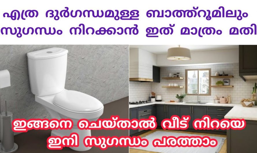 കിച്ചൻ തുടങ്ങിയ ബാത്ത്റൂമിലെ വരെ  ദുർഗന്ധം പരിഹരിക്കാൻ.