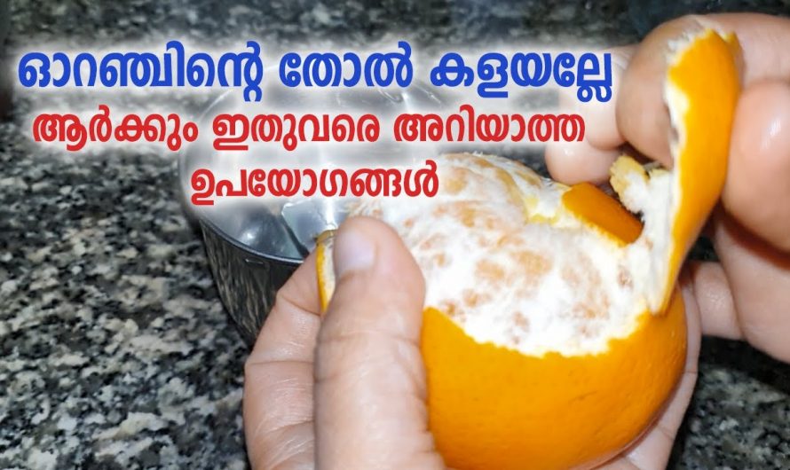 ചർമ്മത്തിന്റെ നല്ലത്തിളക്കവും ഭംഗിയും നൽകാൻ കിടിലൻ വഴി..