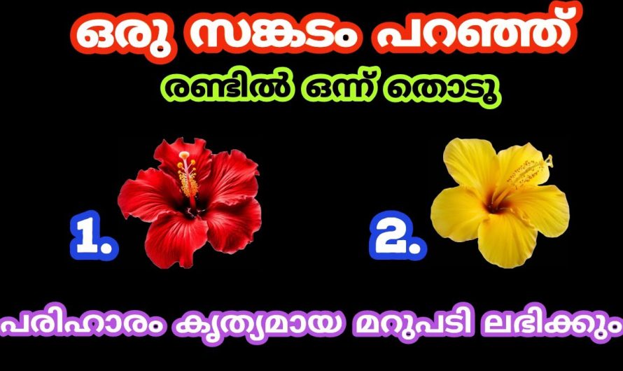 ഇതിൽ നിന്നും നിങ്ങളുടെ ദുഃഖങ്ങളെ എപ്പോൾ പരിഹരിക്കാം എന്ന് അറിയാം..