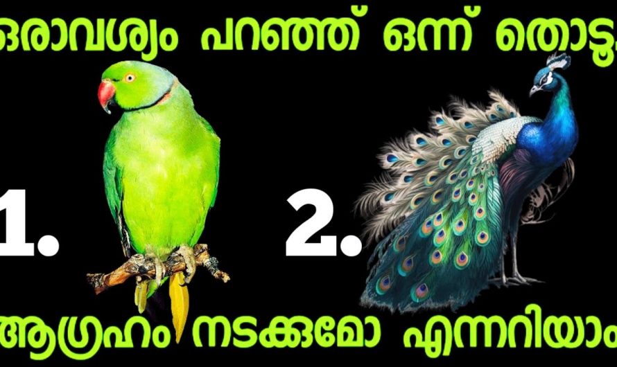 നിങ്ങളുടെ ജീവിതത്തിലെ ദുഃഖങ്ങളും പ്രയാസങ്ങളും എപ്പോൾ അകലും  എന്നതിനെക്കുറിച്ച് മനസ്സിലാക്കാൻ..