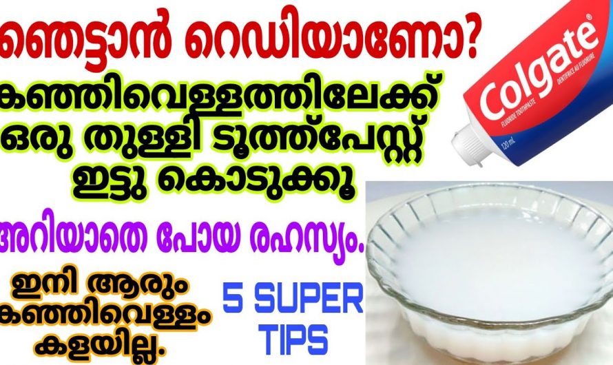 കഞ്ഞിവെള്ളം ഉപയോഗിച്ച് ചെയ്യാവുന്ന ഞെട്ടിക്കും ടിപ്സുകൾ..